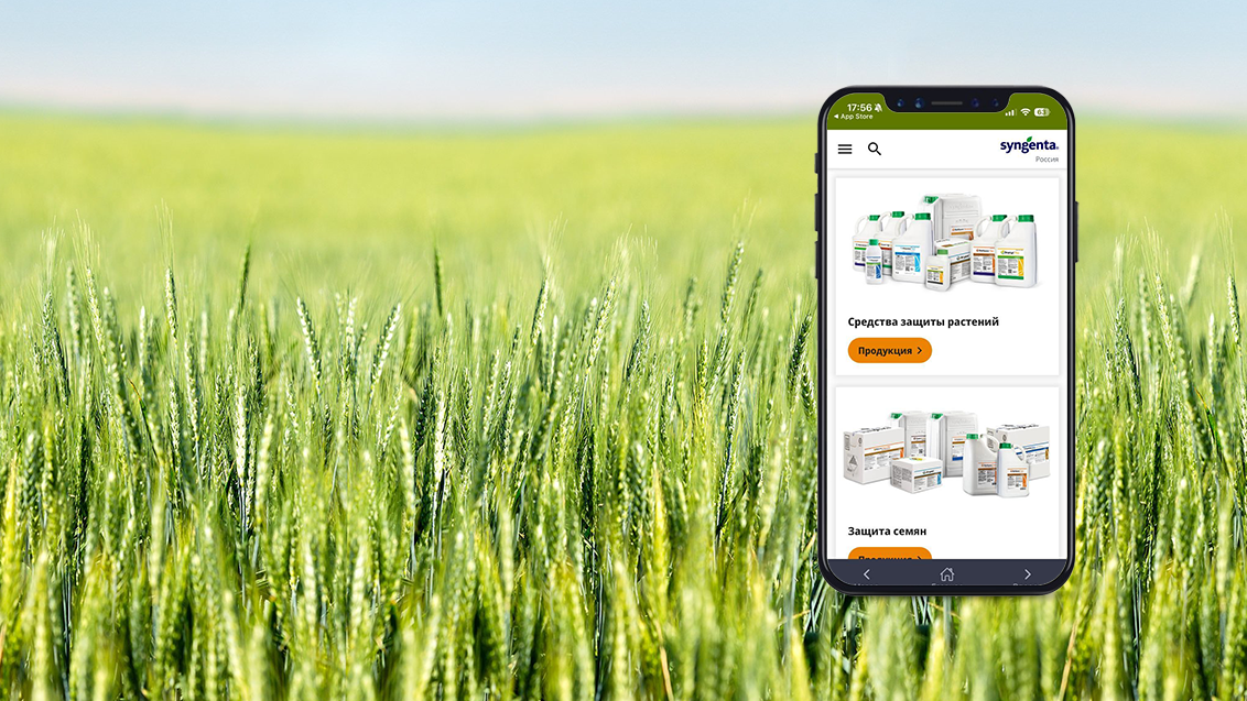 «Сингента» обновила мобильное приложение: теперь в онлайн-режиме!, фото