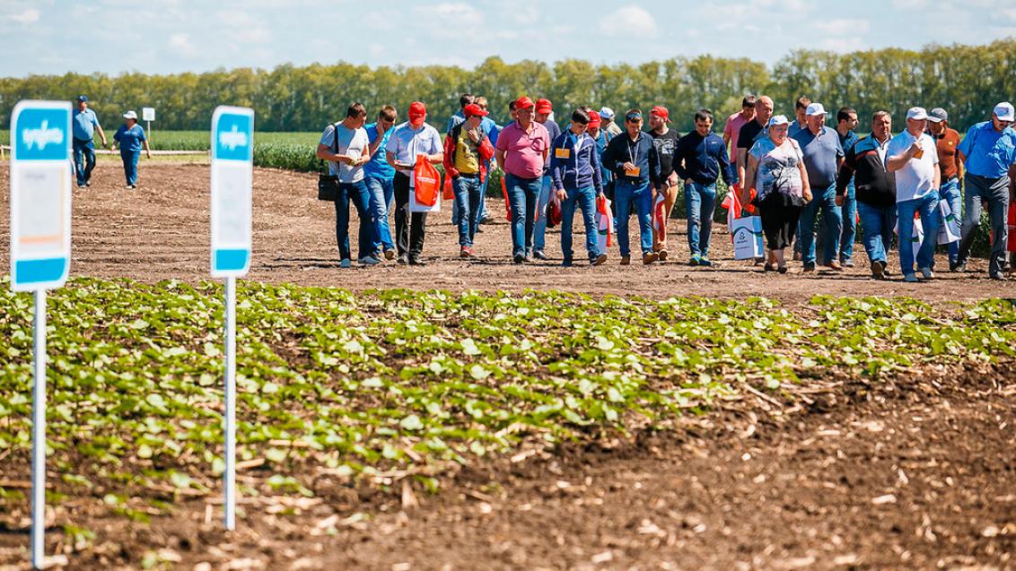 В Ростовской области прошел Полевой город «Сингенты»