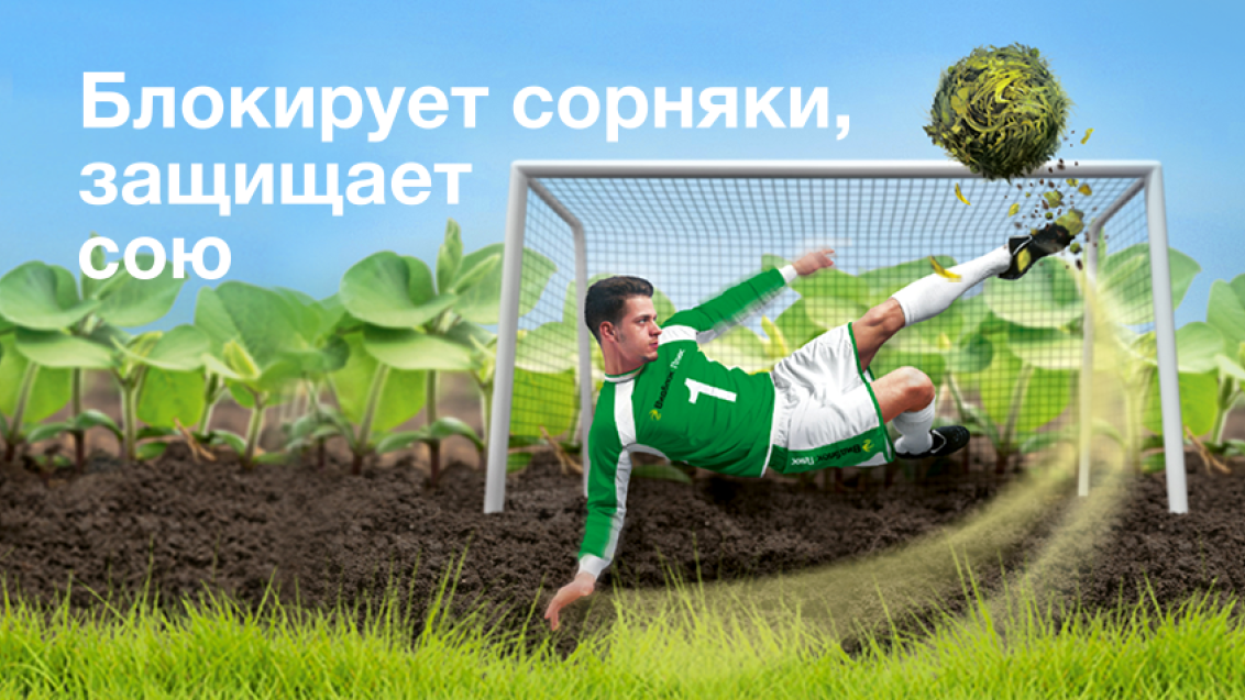 Эффективный контроль смешанного засорения в посевах сои