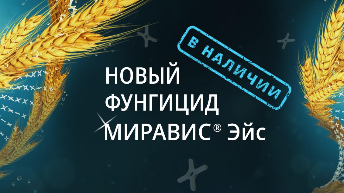 Новый фунгицид МИРАВИС® Эйс: здоровый колос — легко!