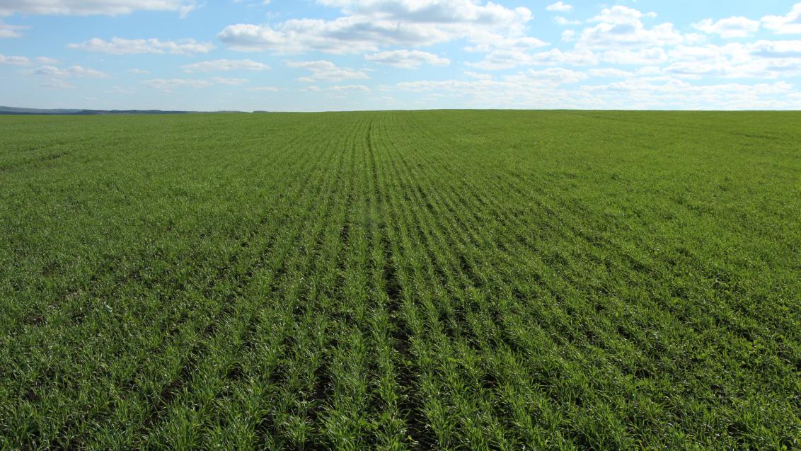 Защита в полной комплектации