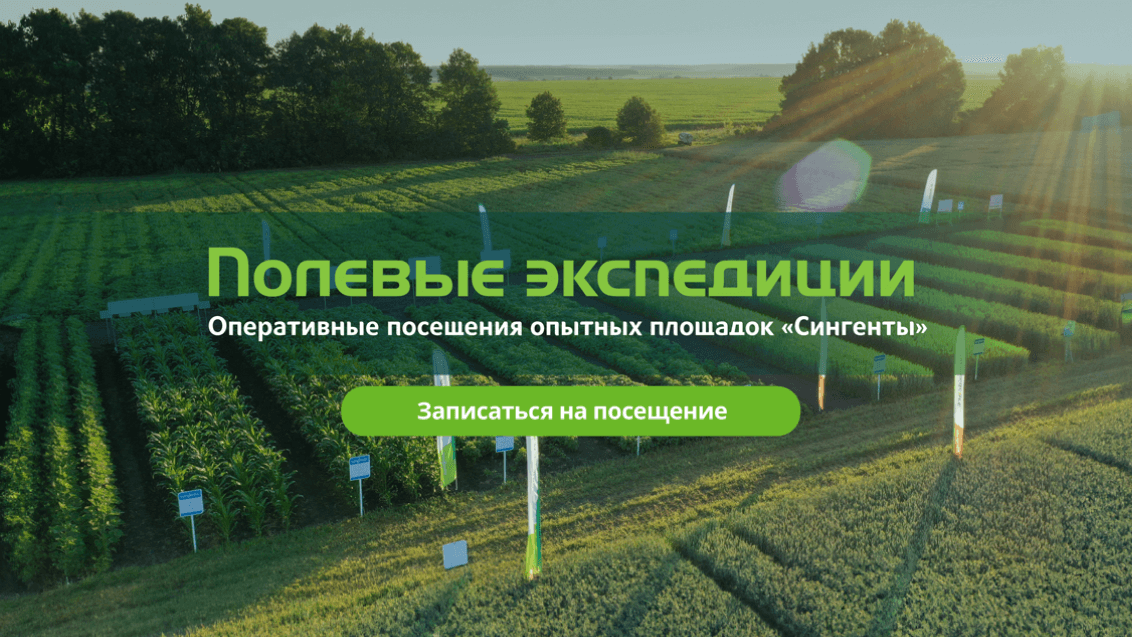 Старт Полевых экспедиций в сезоне 2024
