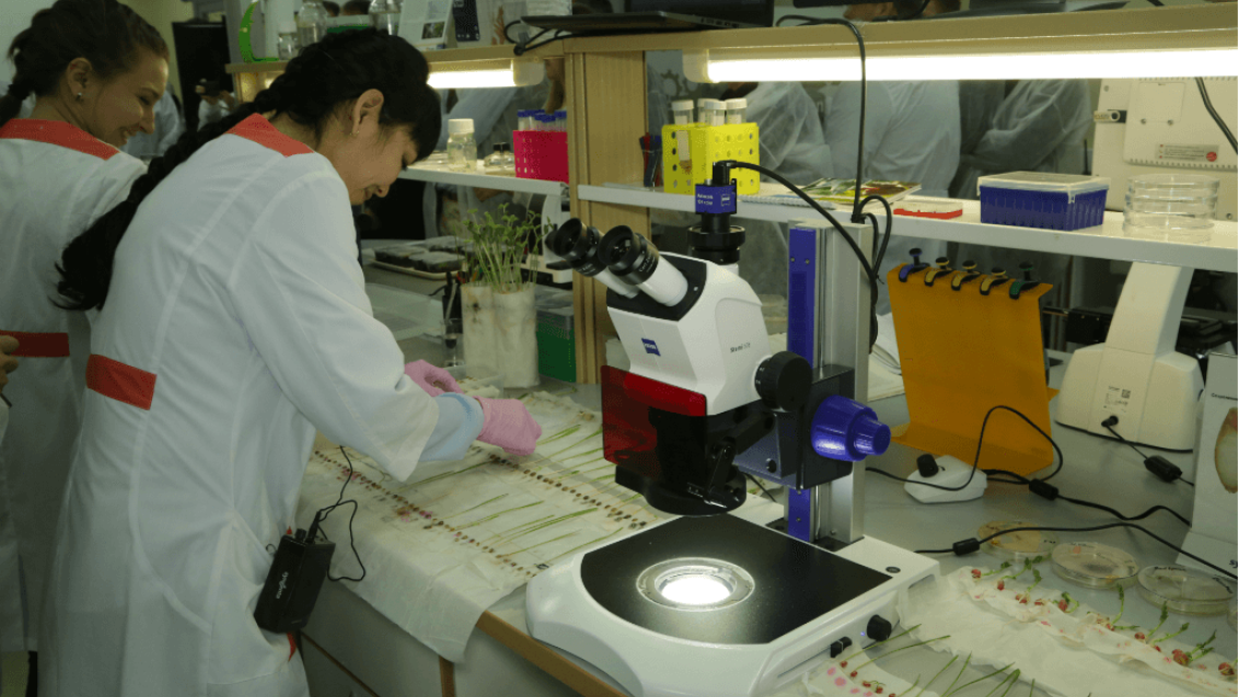 Грамотная диагностика семян поможет сохранить урожай