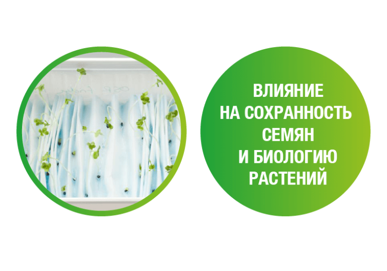 Влияние на сохранность семян и биологию растений, фото