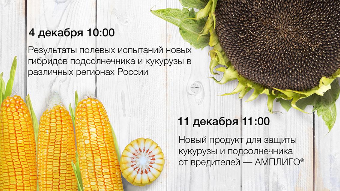 Вебинары: Какие гибриды подсолнечника и кукурузы выращивать и чем их защищать?