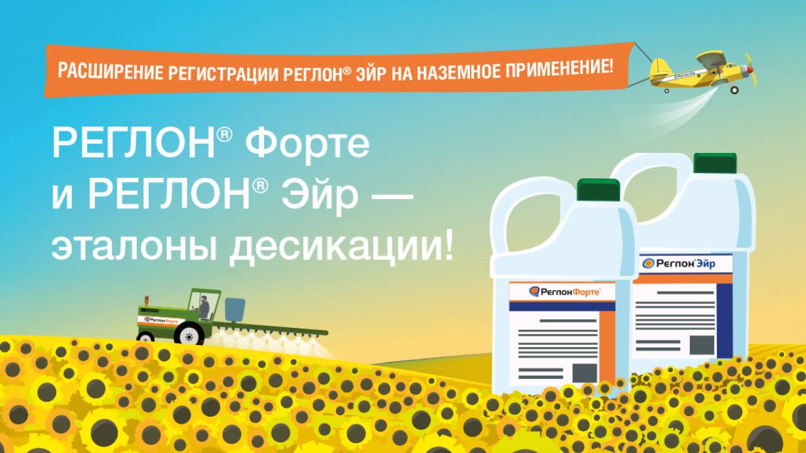 Новости РЕГЛОНизации — 2024