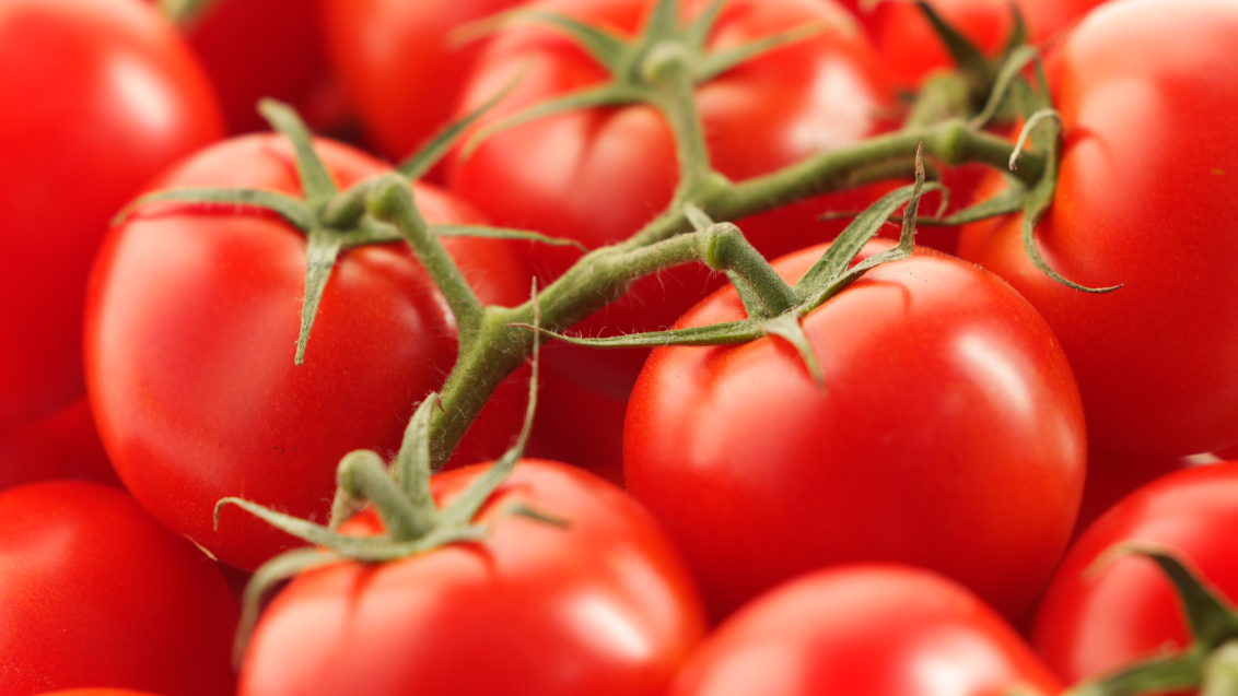 Томат. Агроцентр Коломна 2025 (Овощной город)