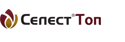 СЕЛЕСТ Топ, КС