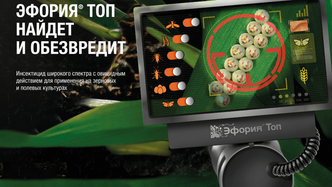 Новинка «Сингенты»: инсектицид для любой погоды