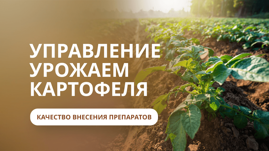Управление урожаем картофеля: качество внесения препаратов