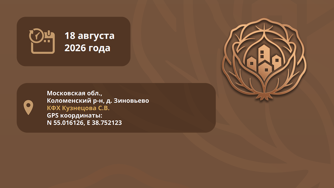 Овощной город, фото
