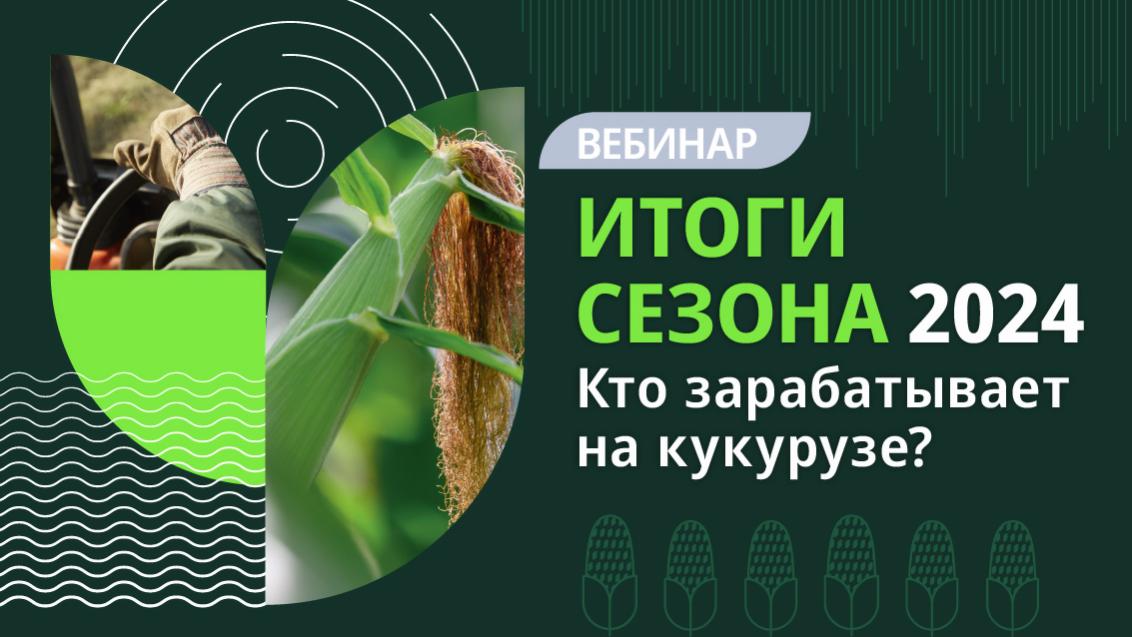 Вебинар «Кто зарабатывает на кукурузе? Итоги сезона-2024»