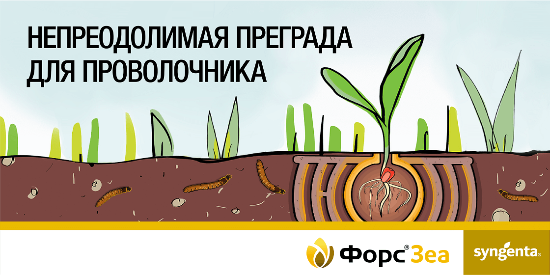 ФОРС ЗЕА