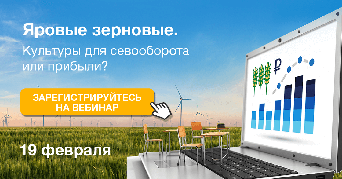 Яровые зерновые. Культуры для севооборота или прибыли?