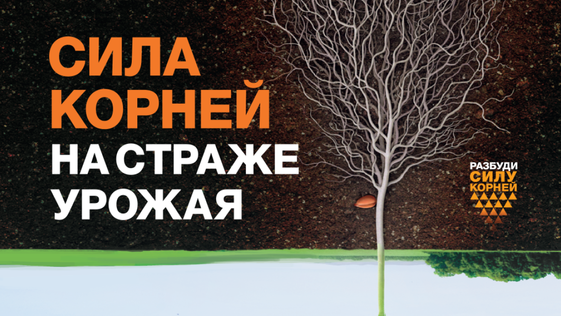 Разбуди силу корней с ВАЙБРАНС ИНТЕГРАЛ!