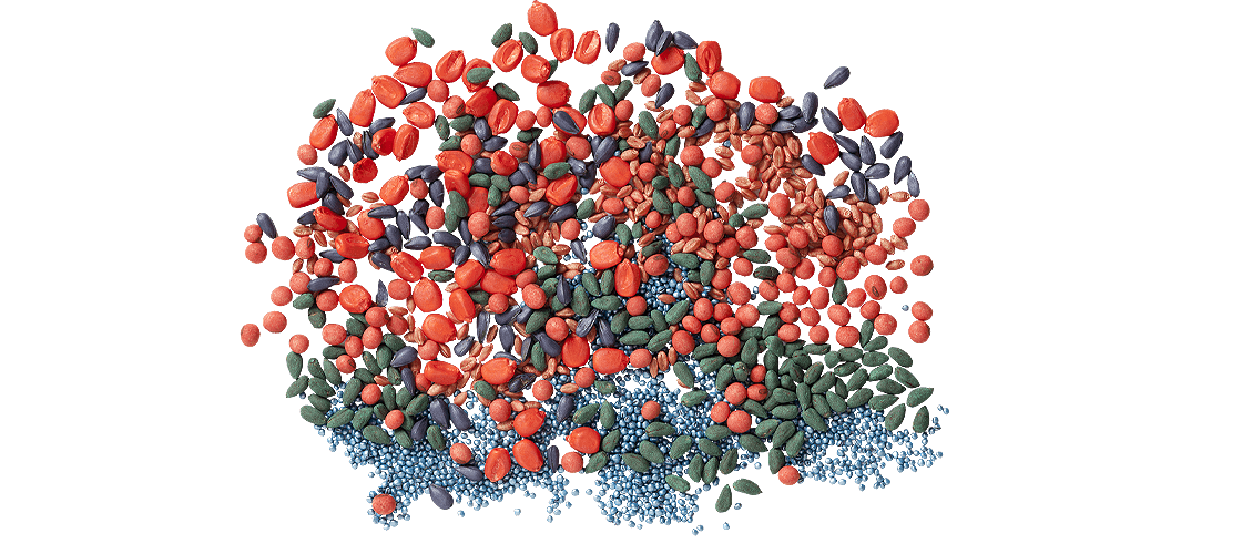 Сотрудничество