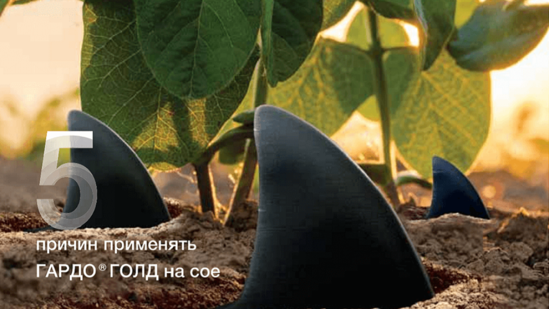 ГАРДО® ГОЛД получил долгожданное расширение регистрации на сое!