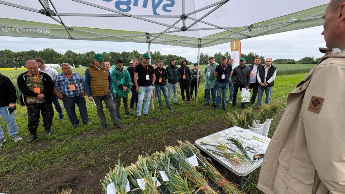 Полевые экспедиции «Сингенты». Инновационные методы возделывания зерновых и сои даже в сложных погодных условиях