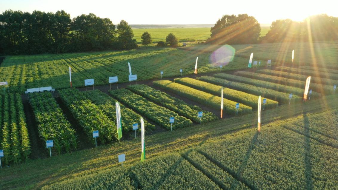 Полевые экспедиции сезона 2025