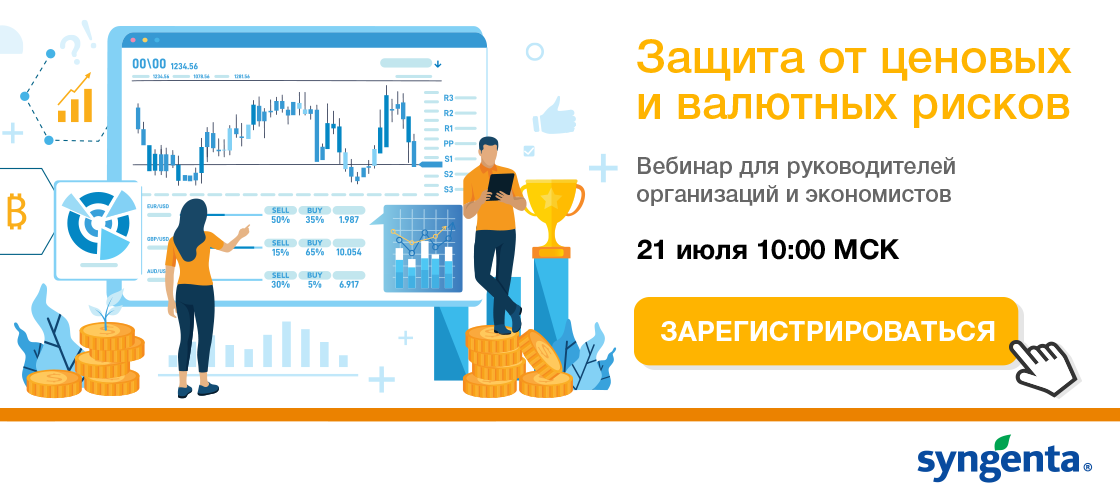 Запись: Защита от ценовых и валютных рисков