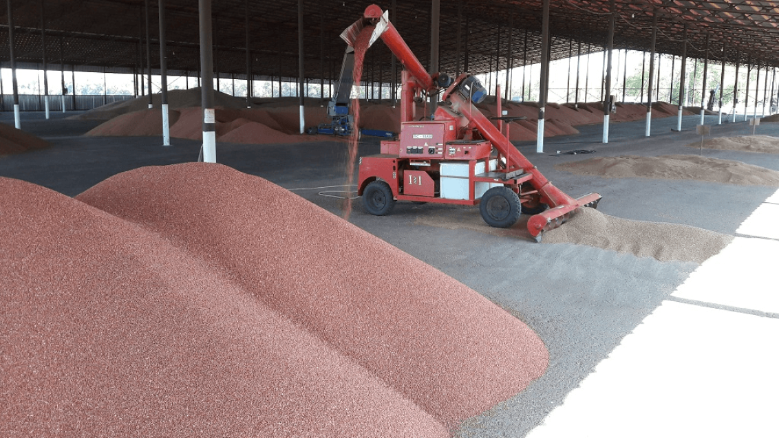 Система эффективной обработки семян в условиях хозяйства, фото