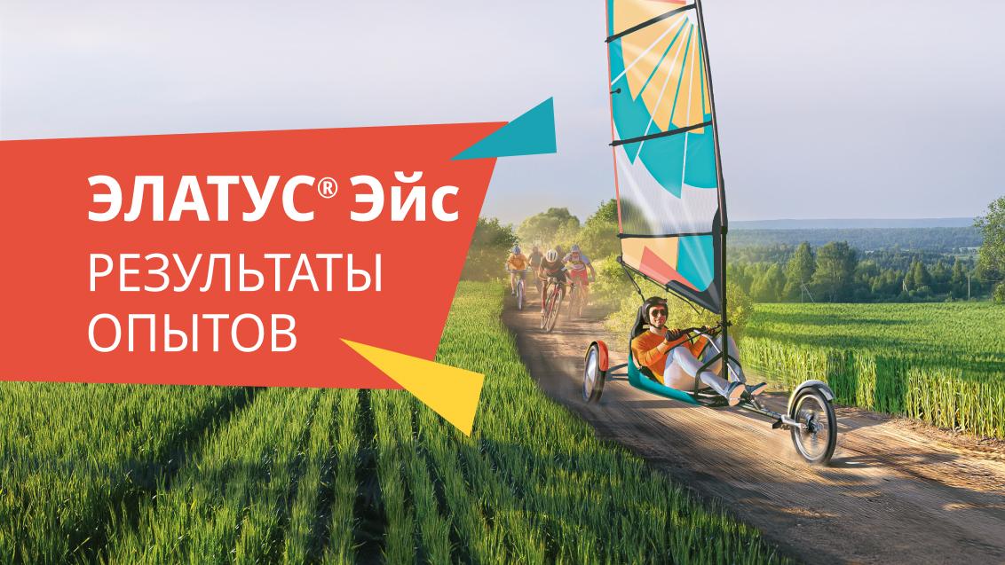 На шаг впереди стандартной защиты зерновых