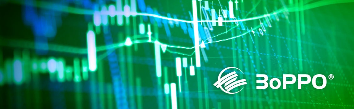 Программа ЗоРРО®