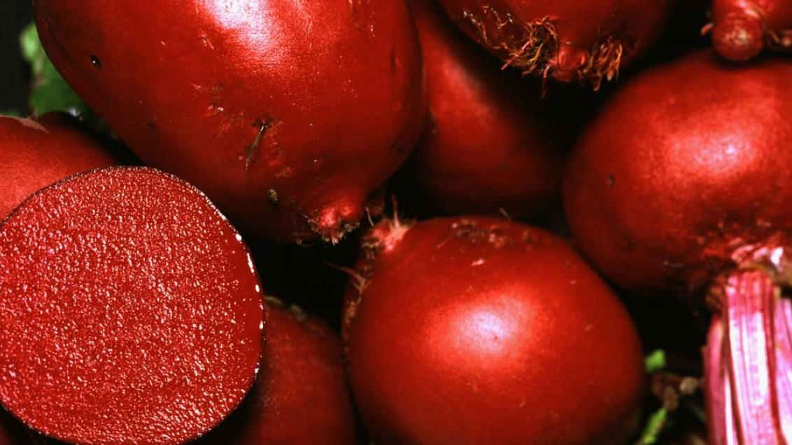 Профессиональная программа защиты столовой свеклы, фото