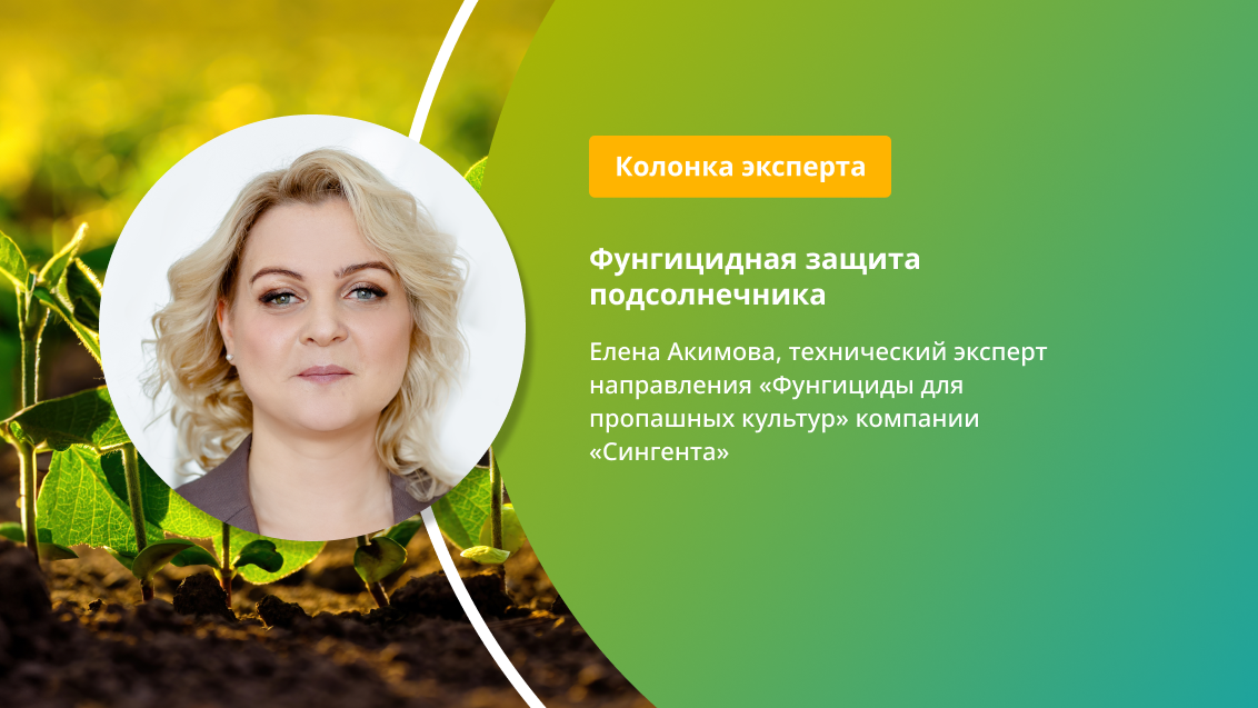 ЦИПРЕСС® для подсолнечника — новый взгляд на фунгицидную защиту!