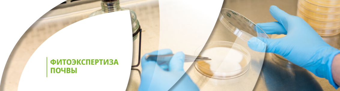 Фитоэкспертиза почвы