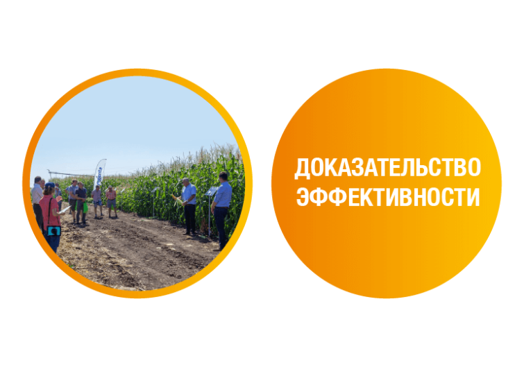 Доказательство эффективности, фото