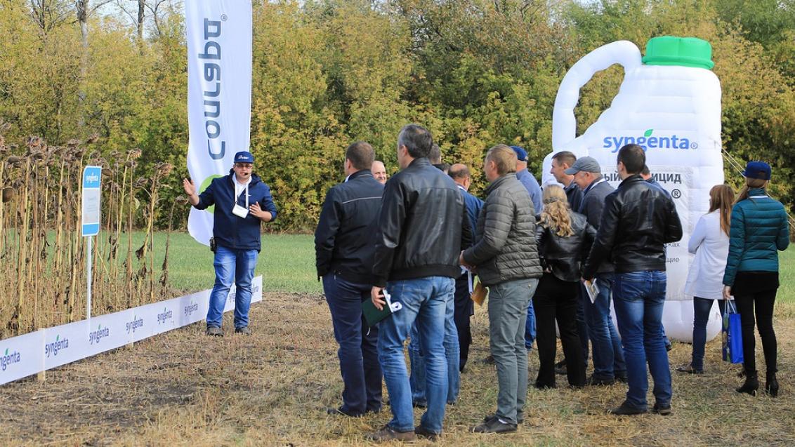 «Сингента» провела Полевые города в Черноземье