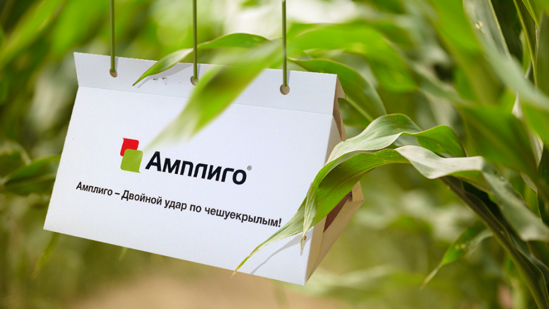 Защити кукурузу и подсолнечник от чешуекрылых вредителей!