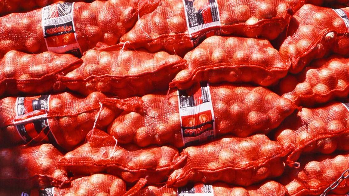 Как правильно собирать и хранить лук, фото