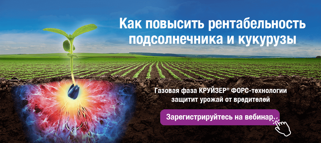 Как повысить рентабельность производства подсолнечника и кукурузы в сезоне-2021