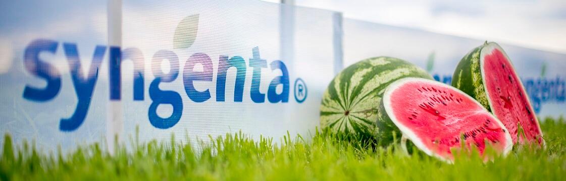 8 августа приглашаем вас на «Овощную усадьбу — 2018»