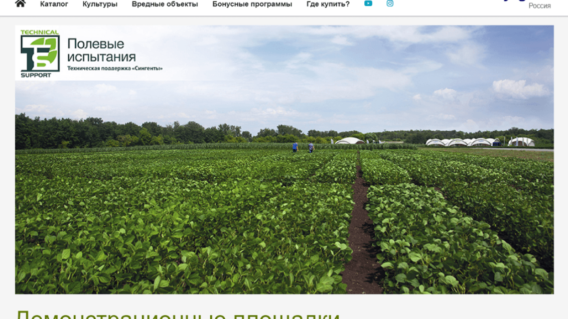 Полевые испытания на сайте «Сингенты»