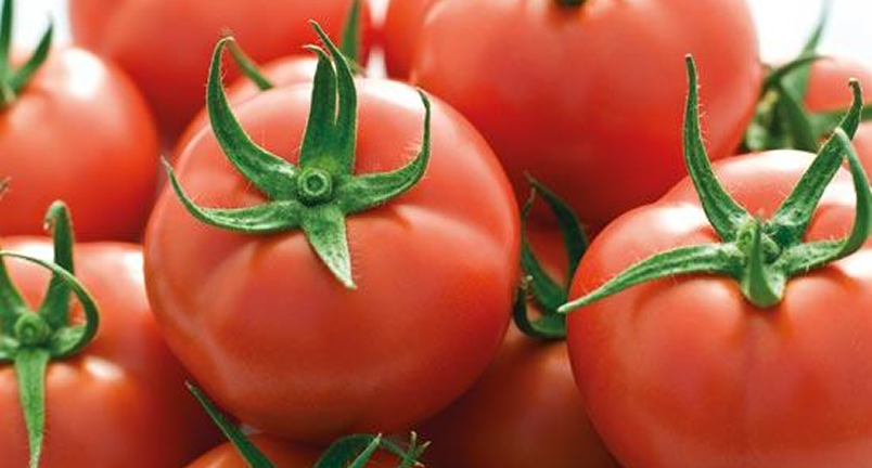 Семена овощных культур