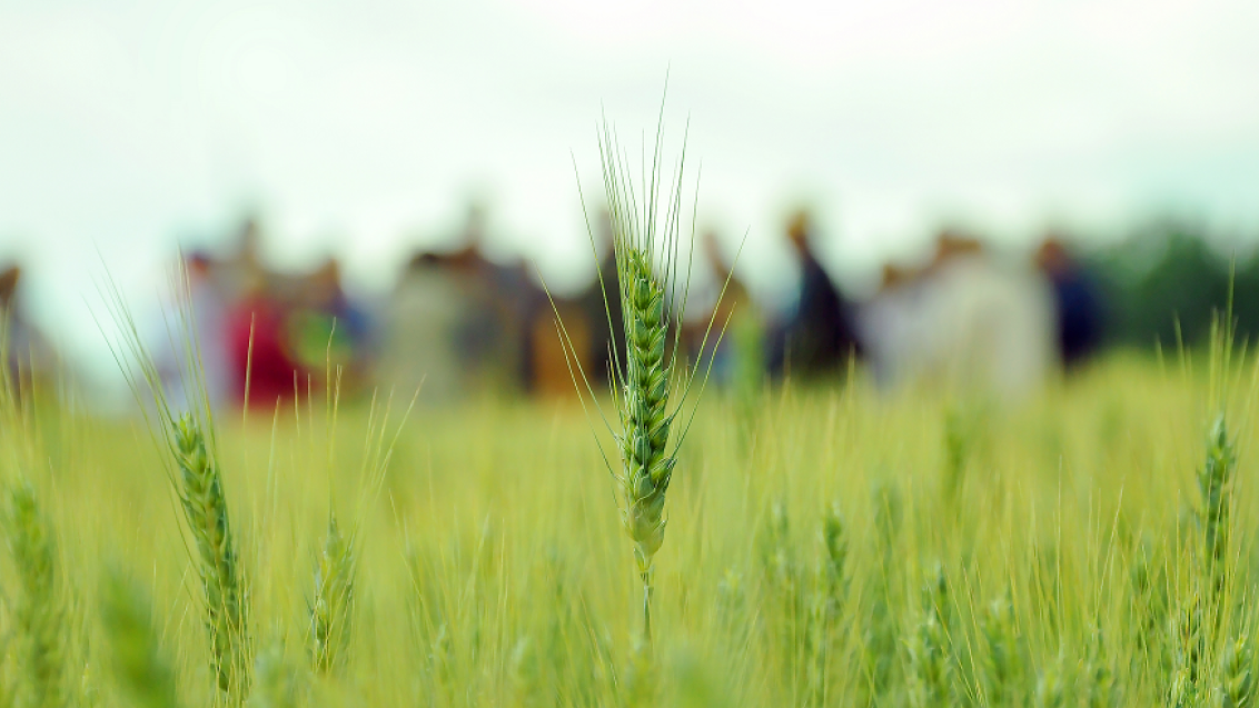 Агроцентр Орел 2025