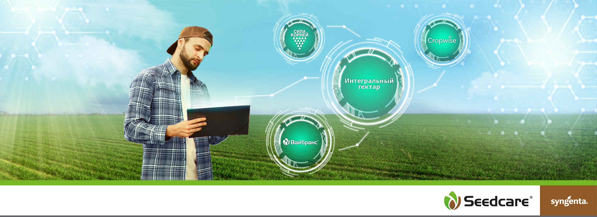 Интегральный гектар