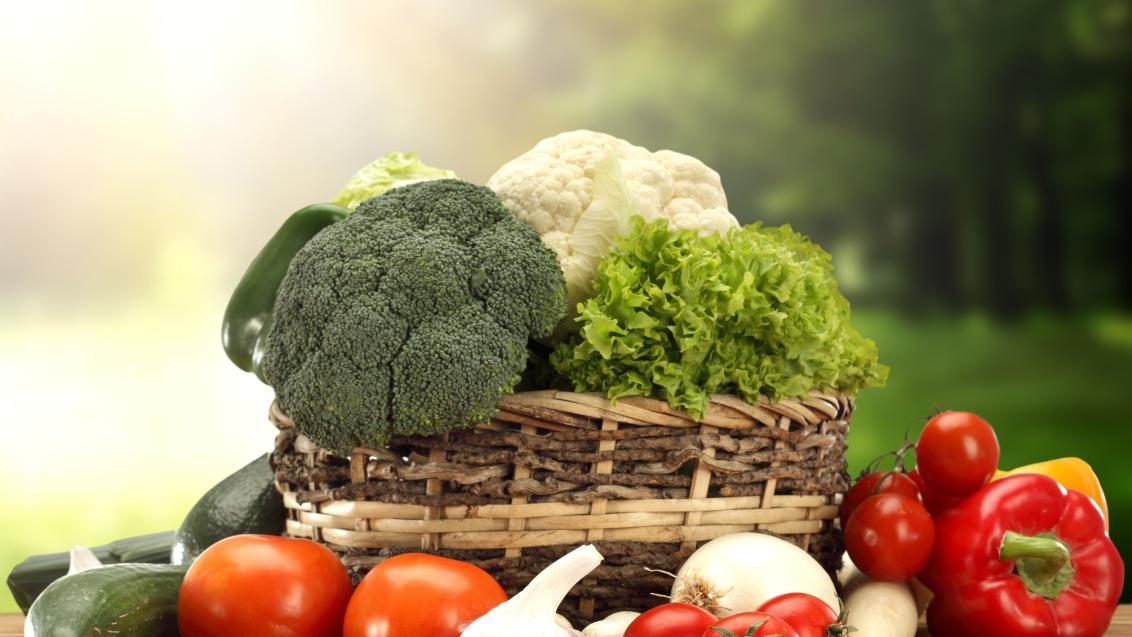 Мастер 18-18-18