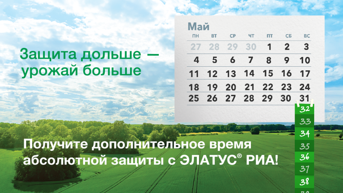 ЭЛАТУС® РИА: защита дольше – урожай больше