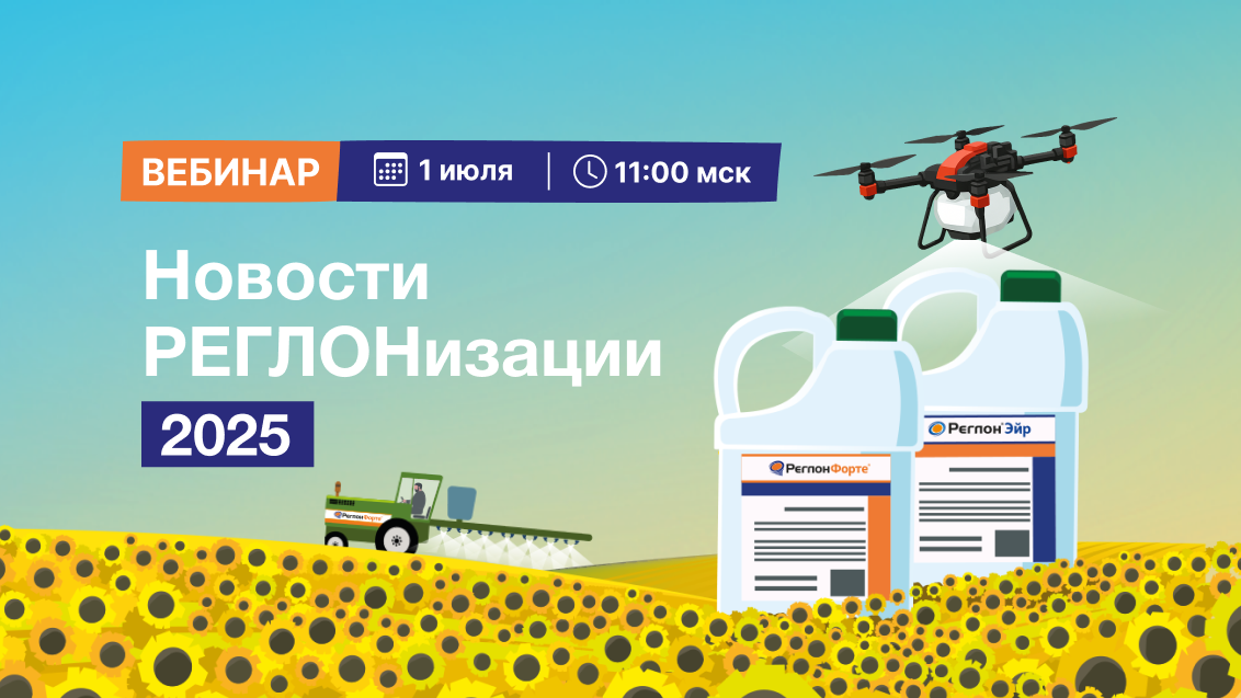 РЕГЛОНизация-2025