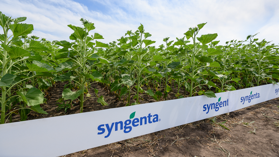 ЛЕГЧЕ формула — меньше риск последействия