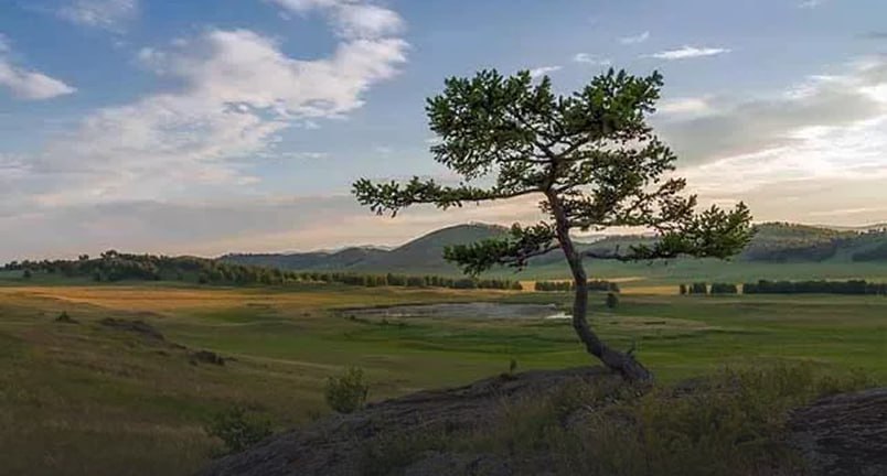 Регион Поволжье