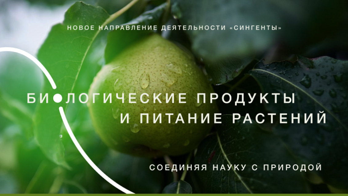 Соединяя науку с природой