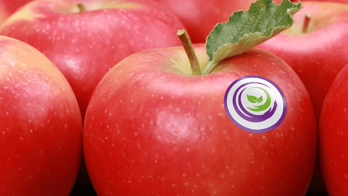 ЦИДЕЛИ™ ТОП против парши, мучнистой росы и других болезней яблони