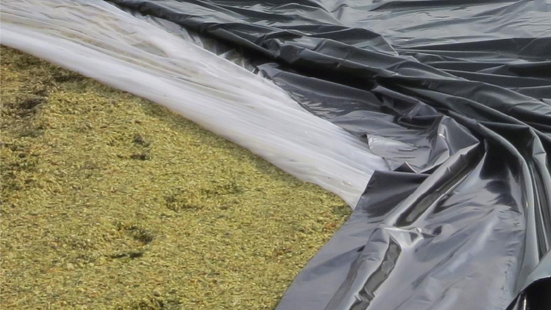 Технология выемки силоса: сохраняем качество и стабильность, фото