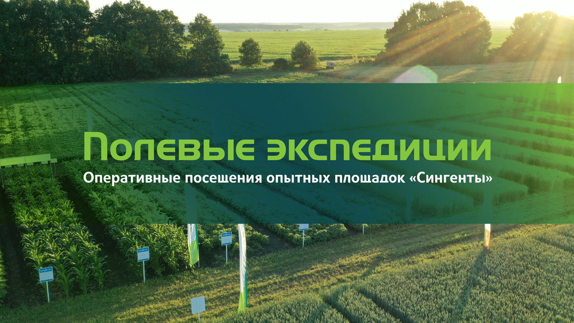 Ценный опыт в удобное время