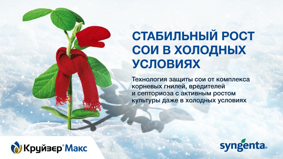 КРУЙЗЕР® Макс — это технология защиты сои с сохранением активного роста культуры в холодных условиях